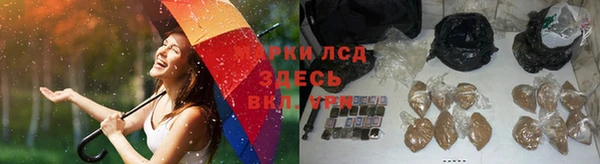 тгк Алексин
