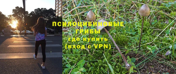 PSILOCYBIN Приозерск