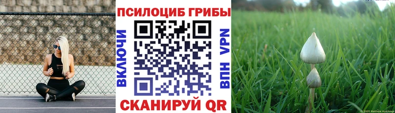 Псилоцибиновые грибы Magic Shrooms Десногорск